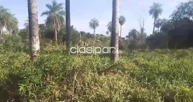 Terreno en aregua zona supermercado la bomba cod 5056 — foto 3