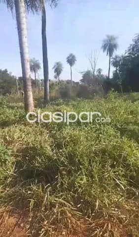 Terreno en aregua zona supermercado la bomba cod 5056 — foto 4