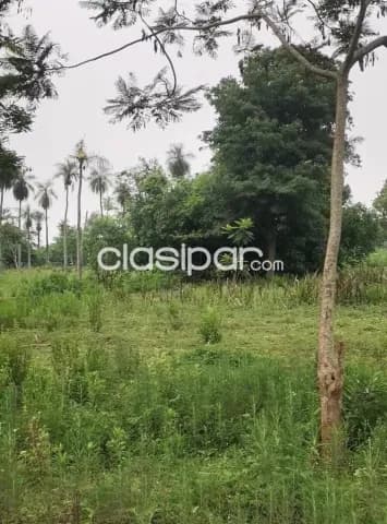 Amplio Terreno en Zona Potrero Poí - Ciudad de Ita, foto 5