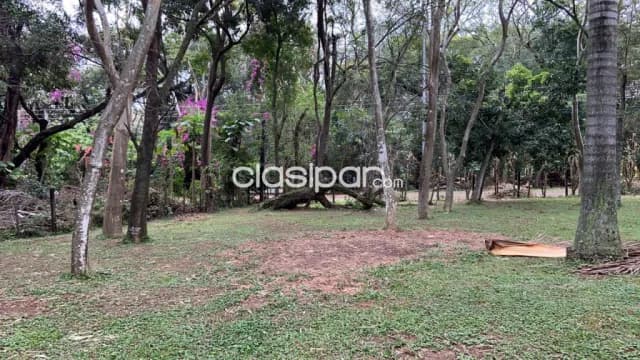 Surubi i vendo casa quinta — foto 3