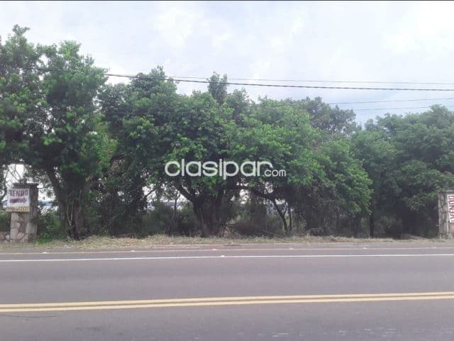 Terreno en San Bernardino Zona Ciervo Cua