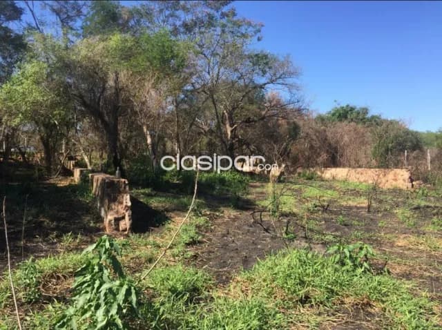 Terreno en San Bernardino Zona Ciervo Cua, foto 4