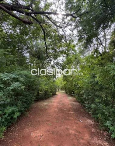 En venta terreno en Luque id 33465, foto 3