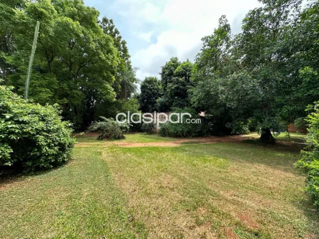 En venta 2 Terrenos Linderos en Fdo. de la Mora, Zona Norte, foto 3