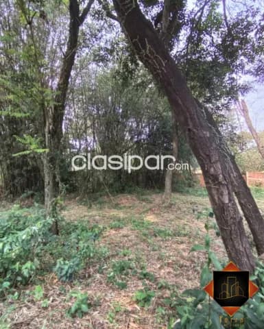 ¡Venta de Terreno en San Antonio!, foto 2