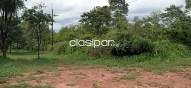 Barrero grande ruta 2 mcal. Estigarribia!! Vendo importante inmueble! !, foto 4