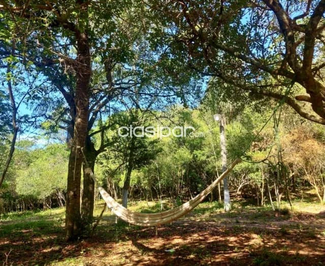 Casa Quinta en Caacupé - 3 Ha, foto 5