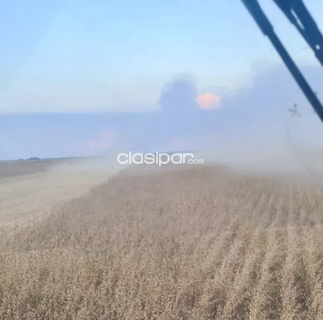 Campo Agrícola/Ganadero en San Ignacio - 218 Ha, foto 3