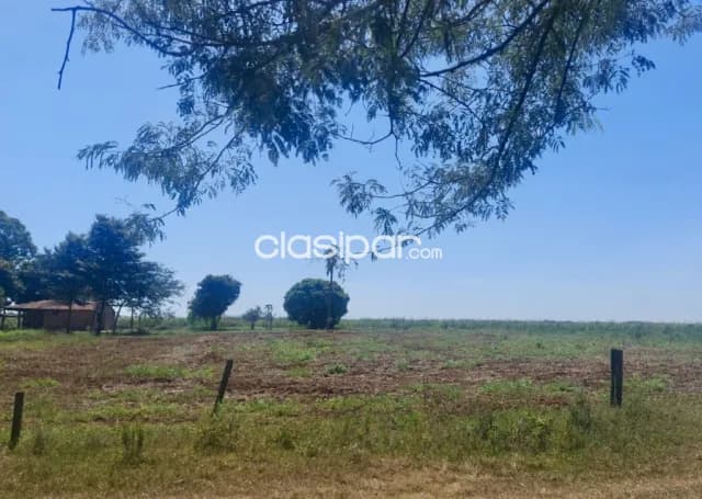 Campo Agrícola/Ganadero en San Ignacio - 218 Ha, foto 4