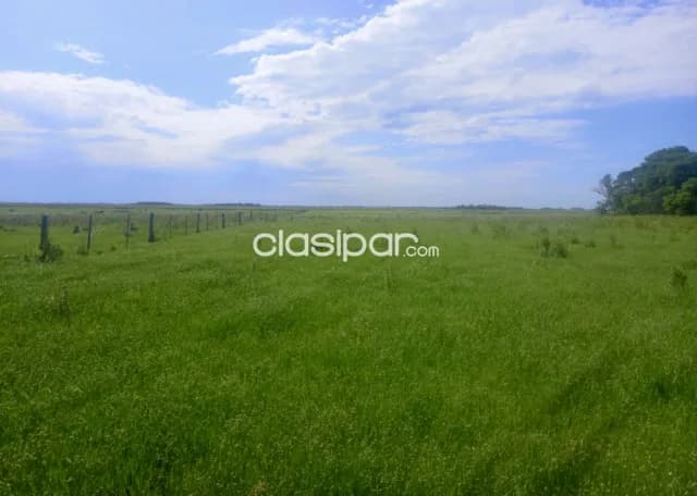 Campo Agrícola/Ganadero en San Ignacio - 218 Ha, foto 5