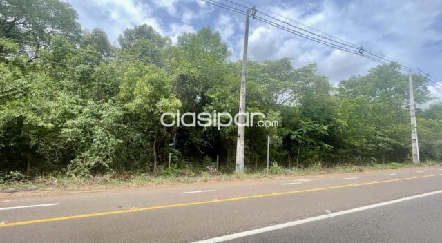 Terreno en Luque Sobre Ruta Pavimentada - 8 Ha
