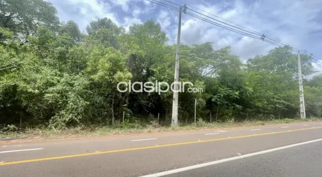 Terreno en Luque Sobre Ruta Pavimentada - 8 Ha, foto 2