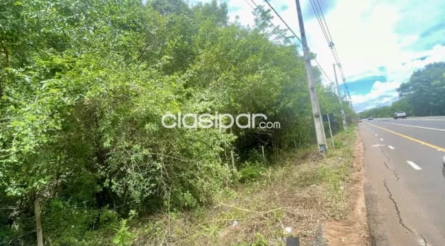 Terreno en Luque Sobre Ruta Pavimentada - 8 Ha, foto 4