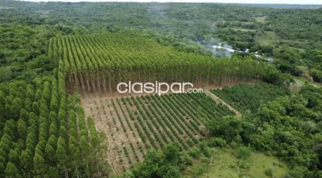 Granja Avícola Operativa en Altos - 22 Ha, foto 3