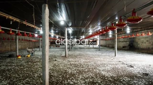 Granja Avícola Operativa en Altos - 22 Ha, foto 4