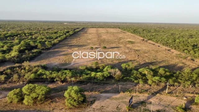 Terreno Comercial / Industrial en Loma Plata - 27 Ha — foto 2