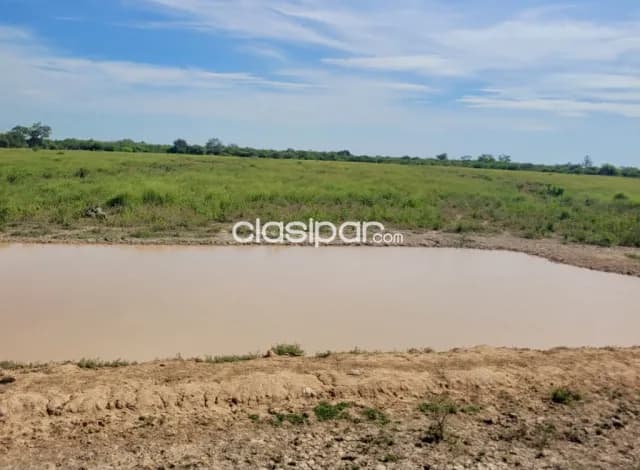 Terreno Comercial / Industrial en Loma Plata - 27 Ha — foto 3