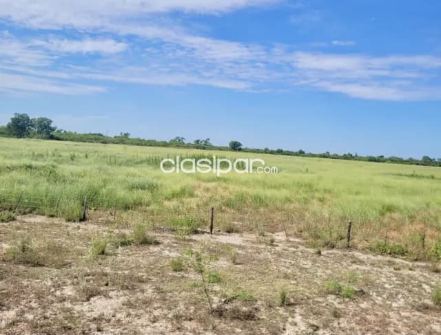 Terreno Comercial / Industrial en Loma Plata - 27 Ha — foto 4