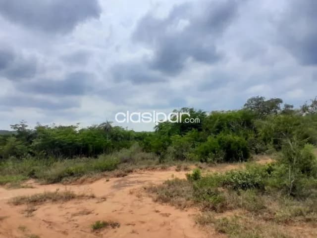 Cordillera, piribebuy: Maravillosas, 145 has, arroyos, alto potrencial productivo, urbaniz, foto 4