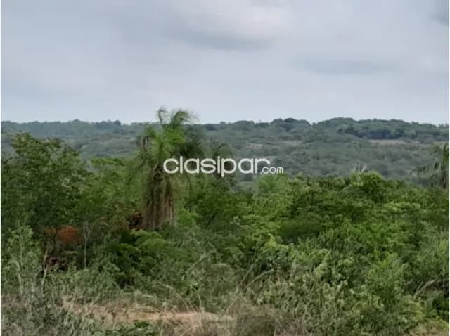 Cordillera, piribebuy: Maravillosas, 145 has, arroyos, alto potrencial productivo, urbaniz, foto 5