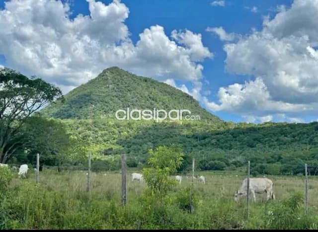 Paraguari, ybytymi: Inigualables 124 has, p/ explotación turística ecológica, manantiales, foto 3