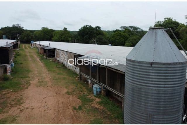 De granja avicola en la ciudad de altos — foto principal