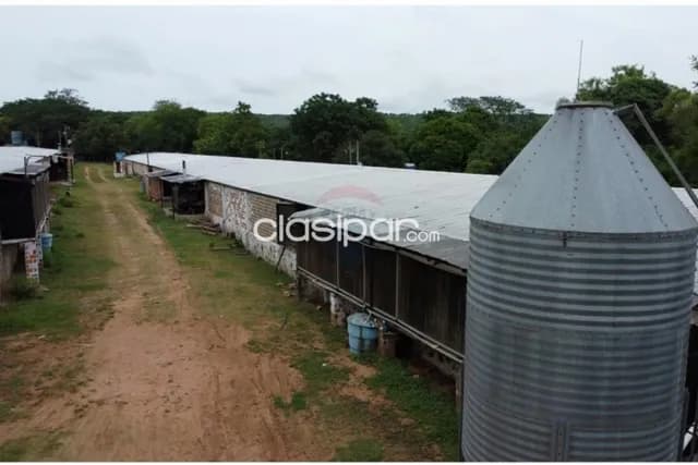 De granja avicola en la ciudad de altos — foto 2
