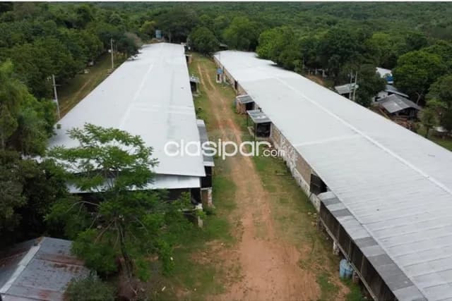 De granja avicola en la ciudad de altos — foto 5