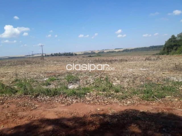 Campo Agrícola/Ganadero Mecanizado en Minga Guazú costas al Río Monday - 675 Ha, foto 1