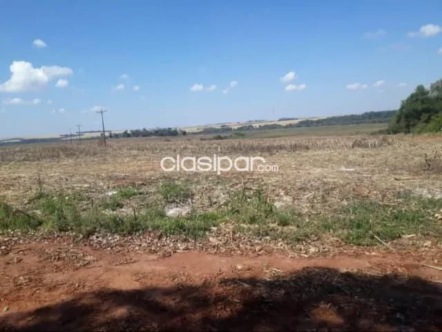 Campo Agrícola/Ganadero Mecanizado en Minga Guazú costas al Río Monday - 675 Ha, foto 2