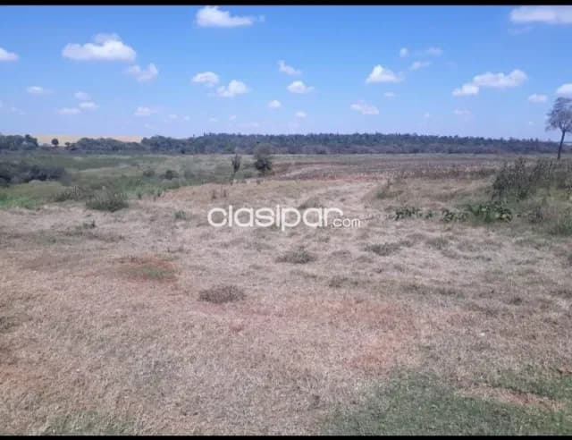 Campo Agrícola/Ganadero Mecanizado en Minga Guazú costas al Río Monday - 675 Ha, foto 5