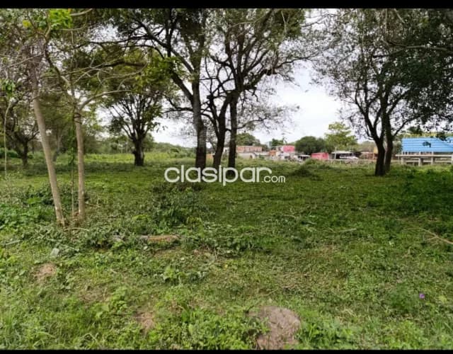 Ofertaaa!! Nueva asuncion ( chaco i) a pasos del puente a nanana y bordea el pilcomayo — foto 3