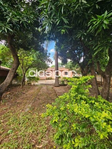 En venta terreno en Luque id 33897