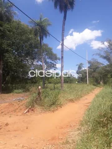 terreno 26.066 m² – Zona Salado’i, Limpio — foto 5