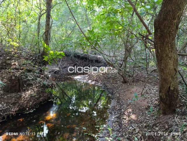 Terreno Rural en Villarrica - 10 Ha — foto 4