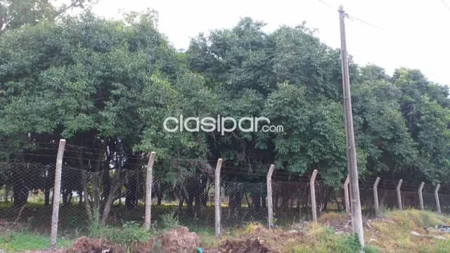 En Venta HERMOSA PROPIEDAD , 18.146 m2. salidas a 3 calles en B°Campo Grande. (ID1859), foto 4