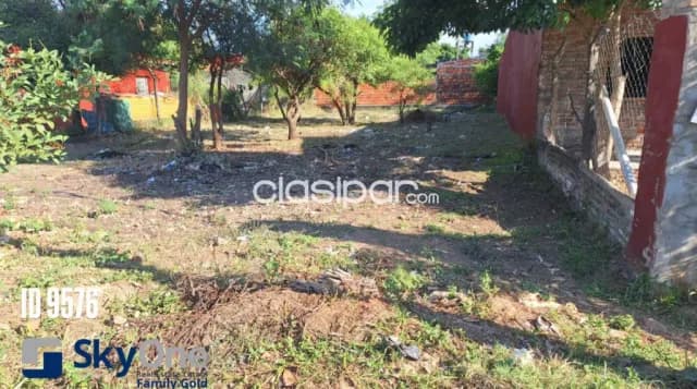 Terreno en limpio, foto 5