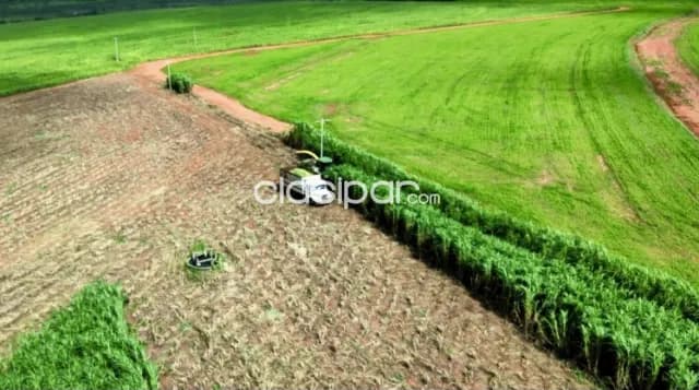 Campo Agrícola/Ganadero en Guayaivi sobre Ruta - 638 Ha, foto 2