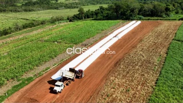 Campo Agrícola/Ganadero en Guayaivi sobre Ruta - 638 Ha, foto 3