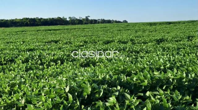 Campo Agrícola/Ganadero en Guayaivi sobre Ruta - 638 Ha, foto 5