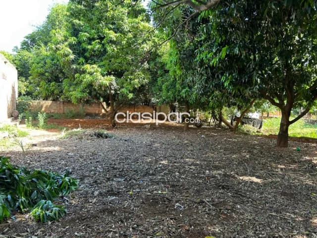 Terreno en Ñemby barrio pai ñu a 2 cuadras de av. Moises bertoni y a 3 de pratt gilt — foto 5