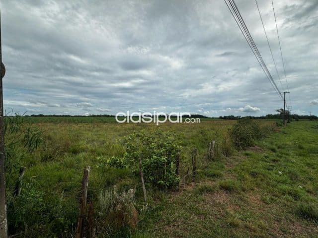 Campo Agrícola/Ganadero en Iturbe sobre Ruta - 39 Ha, foto 1