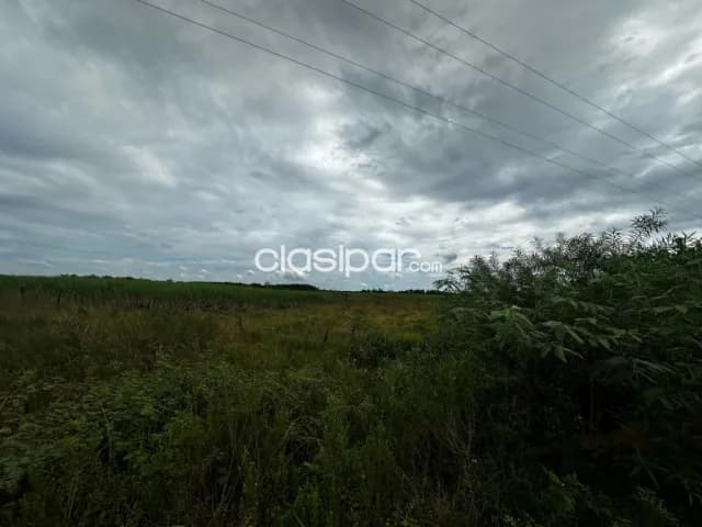 Campo Agrícola/Ganadero en Iturbe sobre Ruta - 39 Ha, foto 3