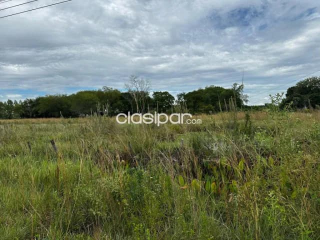 Campo Agrícola/Ganadero en Iturbe sobre Ruta - 39 Ha, foto 4