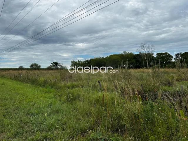 Campo Agrícola/Ganadero en Iturbe sobre Ruta - 39 Ha, foto 5