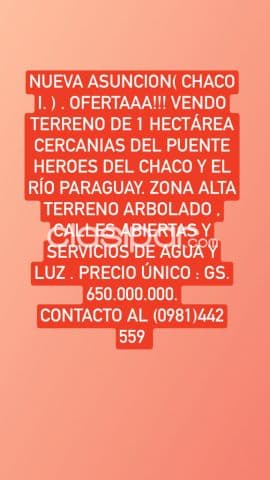 Ofertaaa!! Vendo 1 hectárea en nueva asuncion ( chaco i ) z/ puente héroes del chaco, foto 1