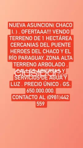 Ofertaaa!! Vendo 1 hectárea en nueva asuncion ( chaco i ) z/ puente héroes del chaco, foto 2