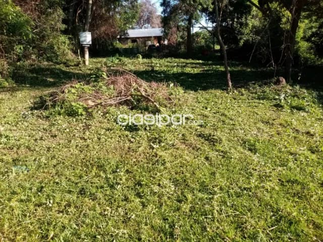 terreno en Zarate Isla, Luque, foto 4