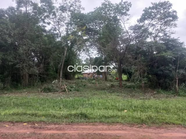 terreno en Zarate Isla, Luque, foto 5