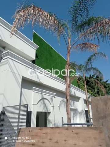 Villa Morra: Mini edificio corporativo, 450 m2, plantas libres, 6 ofic, 15 estacionamiento, foto 2